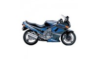 1998-2003 Kawasaki ZZR600 Verkleidung