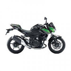 2018-2024 Kawasaki Z400 Verkleidung