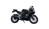 2018-2024 Yamaha R15 Verkleidung