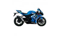 Suzuki GSXR 1000 Verkleidung