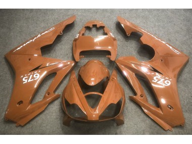 Bronze 2006-2008 Triumph Daytona 675 Motorrad Verkleidungen