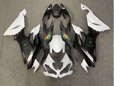 Glückliches Gesicht 2019-2023 Kawasaki ZX6R Motorrad Verkleidungen