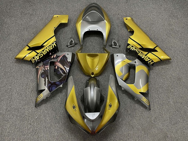 Gold & Silber 2005-2006 Kawasaki ZX6R Motorrad Verkleidungen Gold & Silber 2005-2006 Kawasaki ZX6R Motorrad Verkleidungen