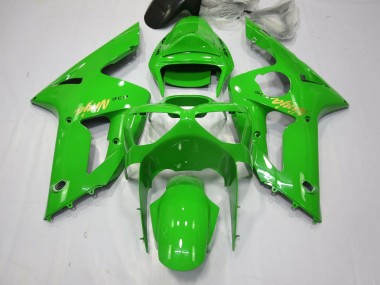 Grüner Ninja 2003-2004 Kawasaki ZX6R Motorrad Verkleidungen