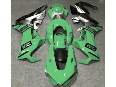 Hellgrün DSI 2017-2023 Honda CBR1000RR Motorrad Verkleidungen