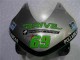 Honda CBR600RR Motorrad Verkleidung 2003-2004 - Silber Grun Glanzendes Schwarz