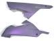 Kawasaki EX300 Motorrad Verkleidung 2013-2024 - Chameleon Grau Dazz Perl Lila