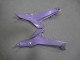 Kawasaki Ninja 650 EX650 Motorrad Verkleidung 2020-2026 - Chameleon Grau Dazz Perl Lila