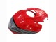 BMW S1000RR Motorrad Verkleidung 2019-2022 - Schwarz Rot Grau