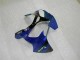 Kawasaki ZX6R Motorrad Verkleidung 2000-2002 - Blau Glanzendes Schwarz Elf Bridgestone