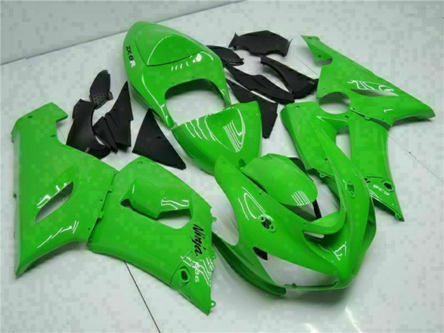 Kawasaki ZX6R Motorrad Verkleidung 2005-2006 - Grun