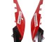 Aprilia RS4 50 125 Motorrad Verkleidung 2012-2018 - Weiss Rot Grun Glanzendes Schwarz