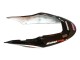 Honda CBR600 F4i Motorrad Verkleidung 2004-2007 - Weiss Glanzendes Schwarz Rot Repsol