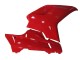 Ducati 1098 Motorrad Verkleidung 2007-2014 - Rot