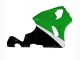 Kawasaki ZX7R Motorrad Verkleidung 1996-2003 - Weiss Grun Schwarz
