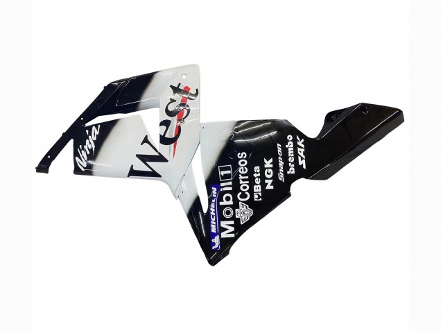 Kawasaki ZX10R Motorrad Verkleidung 2004-2005 - Weiss Schwarz West Ninja