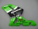 Kawasaki ZX6R Motorrad Verkleidung 2003-2004 - Grun Weiss Schwarz Elf Bridgestone