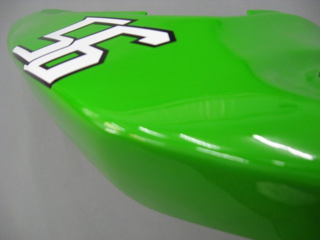 Kawasaki ZX6R Motorrad Verkleidung 2003-2004 - Grun Weiss Schwarz Elf Bridgestone