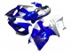 Suzuki GSXR 1300 Hayabusa Motorrad Verkleidung 1996-2007 - Blau Silber Hayabusa