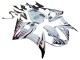Yamaha YZF R6S Motorrad Verkleidung 2006-2009 - Weiss mit Dunkel Schwarz Flamme