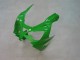 Kawasaki ZX9R Motorrad Verkleidung 2000-2001 - Grun Silber Schwarz