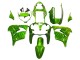Kawasaki ZX9R Motorrad Verkleidung 2000-2001 - Grun Flamme