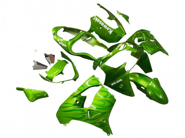 Kawasaki ZX9R Motorrad Verkleidung 2000-2001 - Grun Flamme