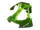 Kawasaki ZX9R Motorrad Verkleidung 2000-2001 - Grun Flamme