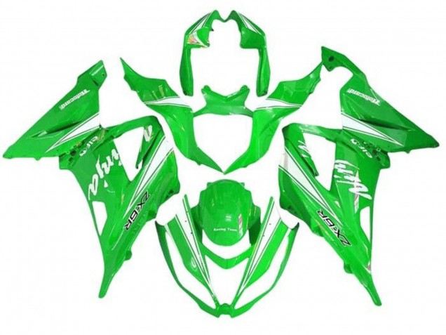Kawasaki ZX6R Motorrad Verkleidung 2013-2018 - Grun Weiss