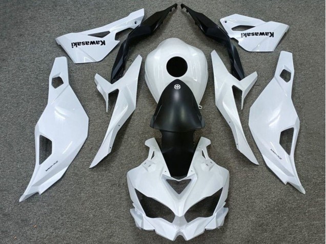 Kawasaki ZX4R ZX-4RR Motorrad Verkleidung 2019-2025 - Weiss Matt Schwarz